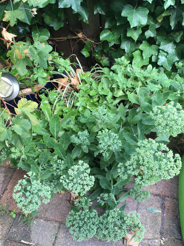 35DD2BF8-42A0-4CB9-B500-39060AFCBBFE