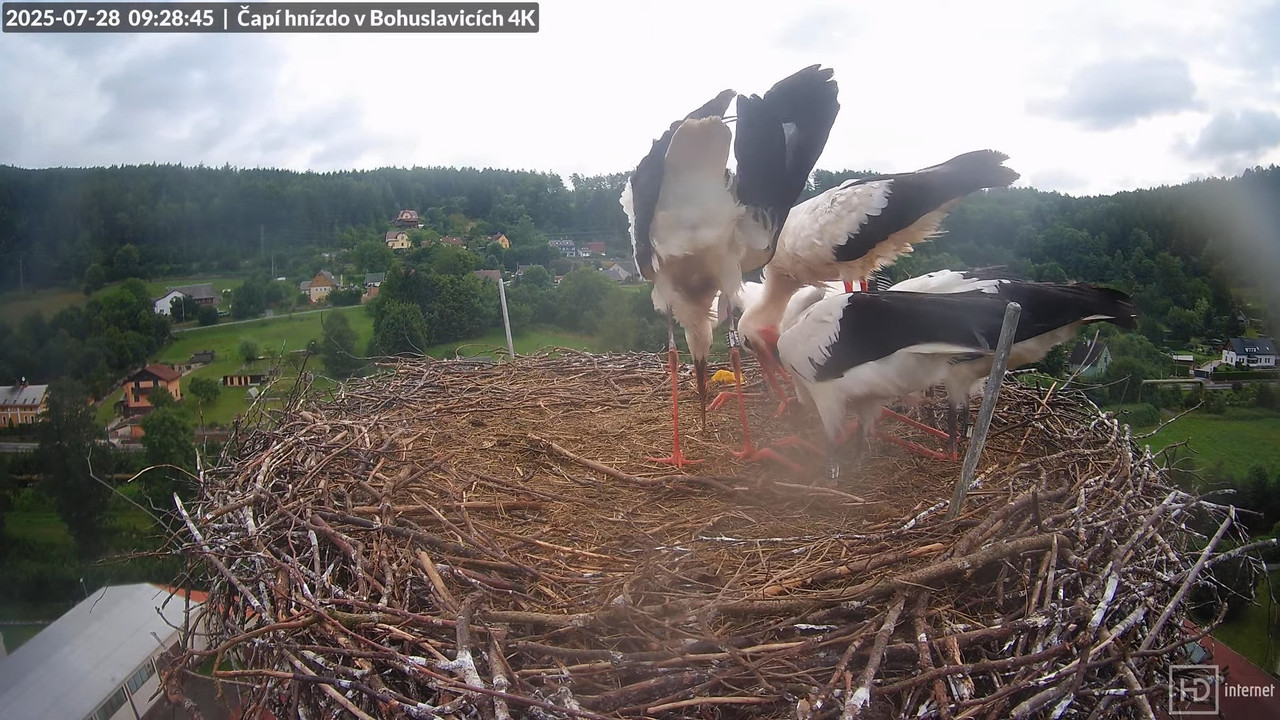 Tiešraide no KARA uzņēmuma stārķu skursteņa Bohuslavicē netālu no Trutnovas 13-11-50 screenshot