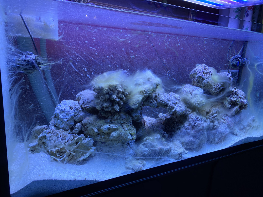 3627AFF4-2F55-46AF-9D92-D5884E2F6F1B