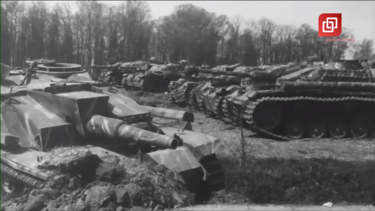 капит курл груп