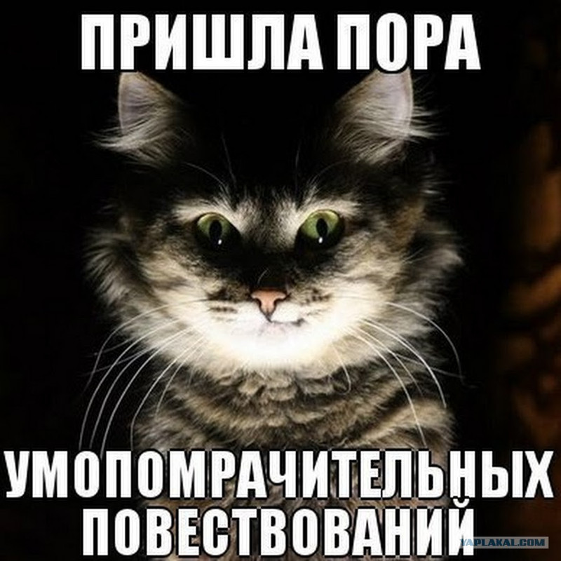 SAVE_20240204_074734