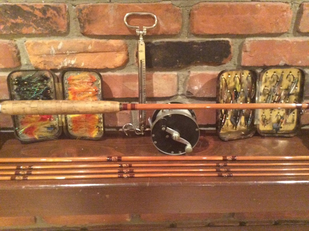 049AF118-F43E-4FDD-8845-36DDD0092973