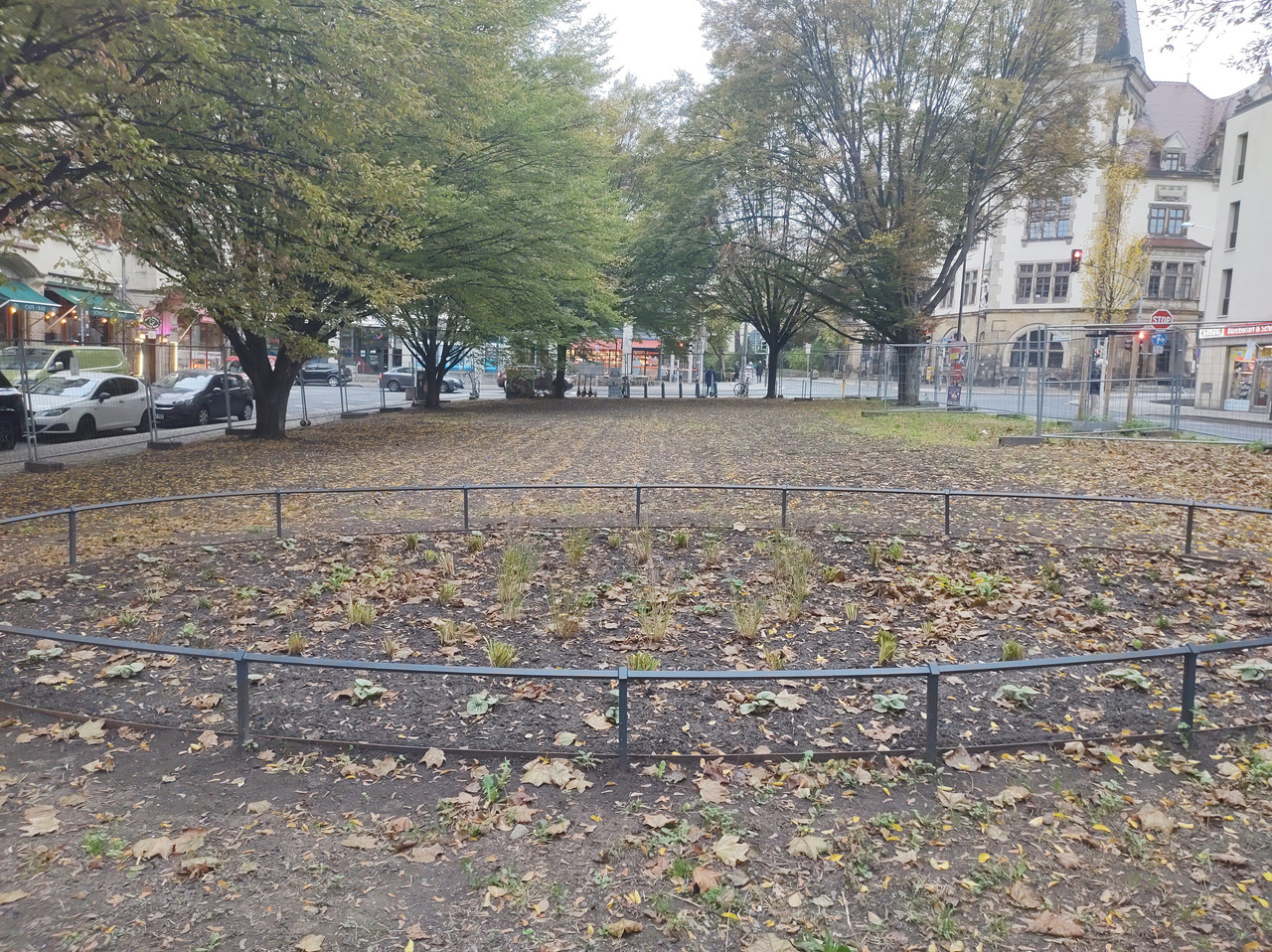 IMG-20261017-134413875.jpg