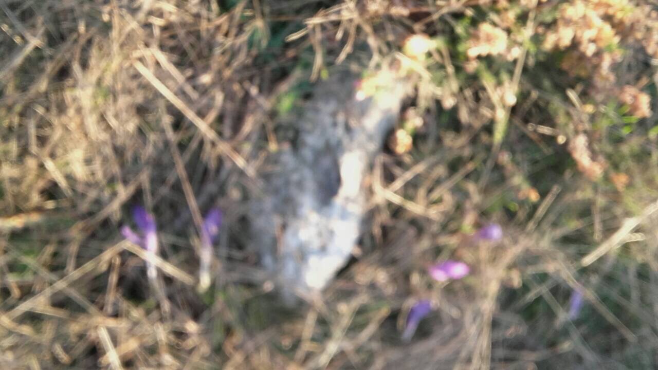 F88F7805-C7FF-4E51-9E82-4CA27859A1BB