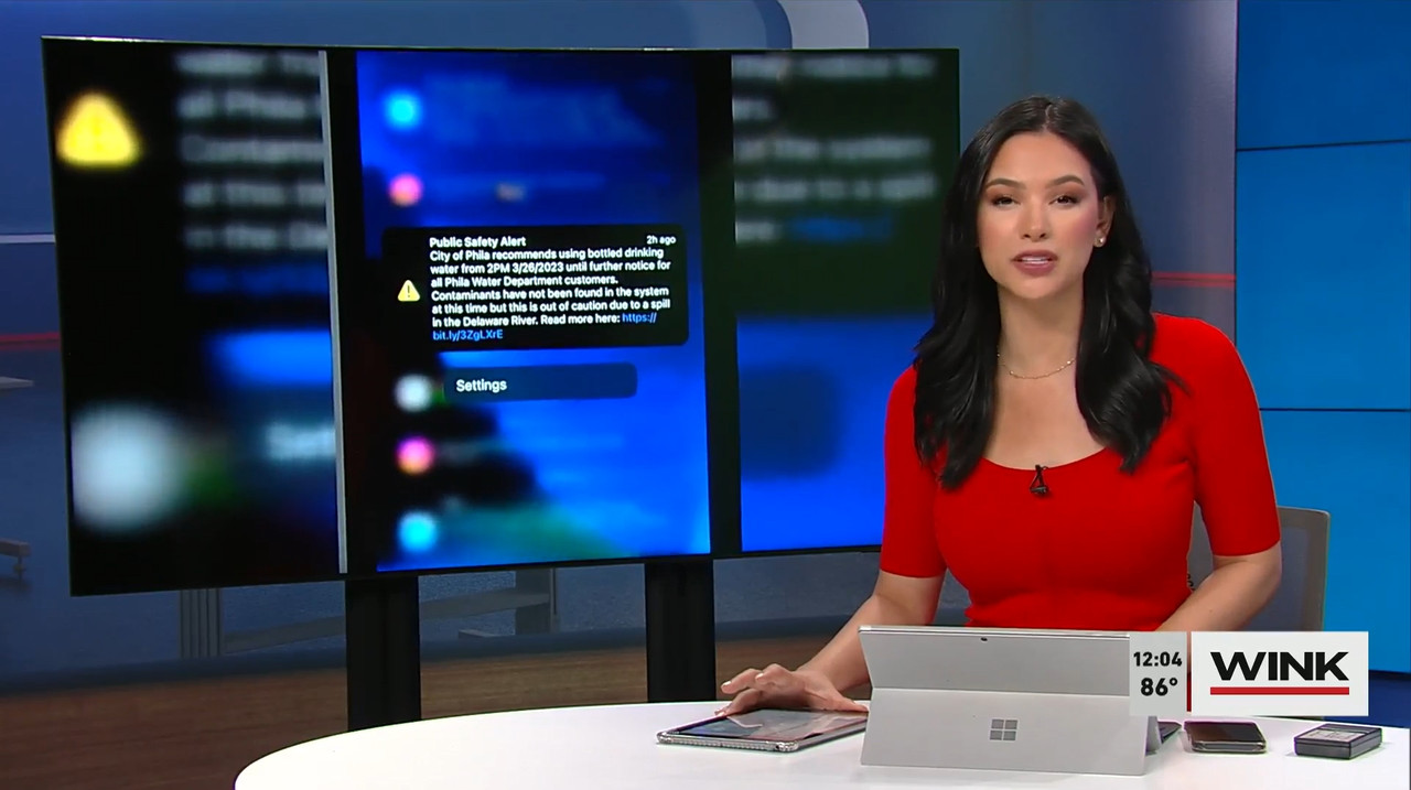 03.27 - 17.00.00 - The Wink Noon News  ᴺᵉʷ. Midday News Update.-1.mp4_snapshot_10.27.190