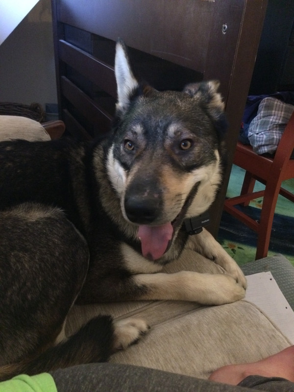 FDD3C6D4-1625-4C2E-8156-13F4EBFB926B