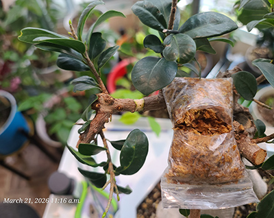 [Image: 20260321-111612.jpg]