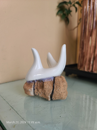 [Image: 20260321-110122.jpg]