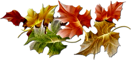 Autumn-PNG-HD