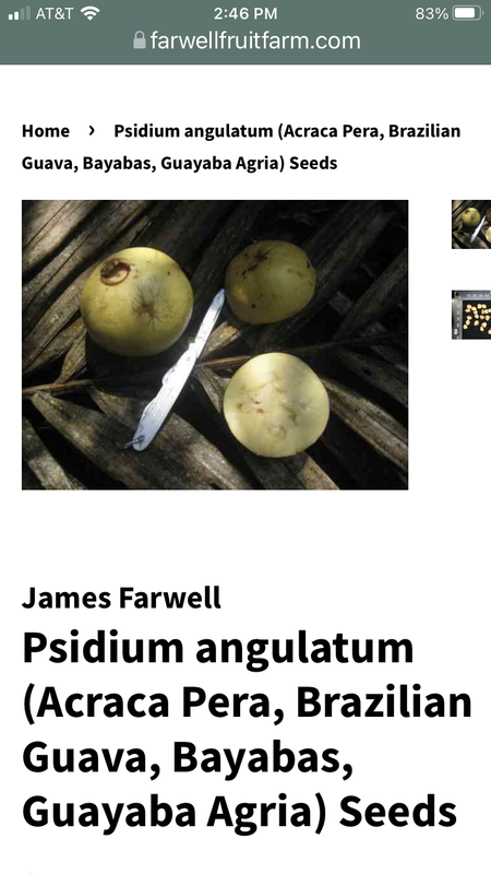 55C8CEA2-1BF0-4FB1-B556-446BB2E9443A