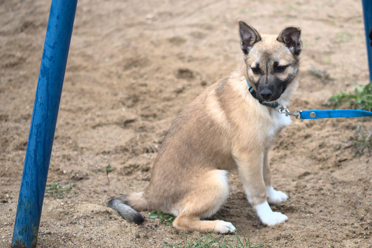 5B47DAED-C75B-43FA-9E25-1115FE6872A7