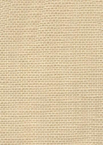 Large-92429-Sugar-Cane