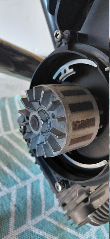Rotor