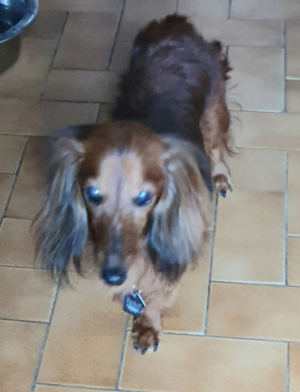 [Image: 20210416-144251.jpg]