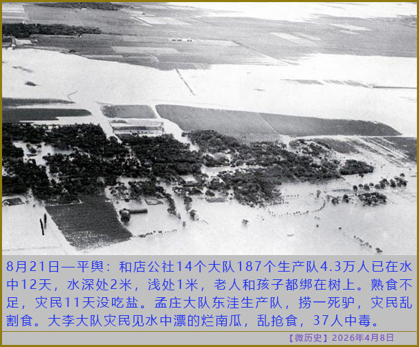 https://i.postimg.cc/bwmR60P4/20260408-ls-(5).jpg