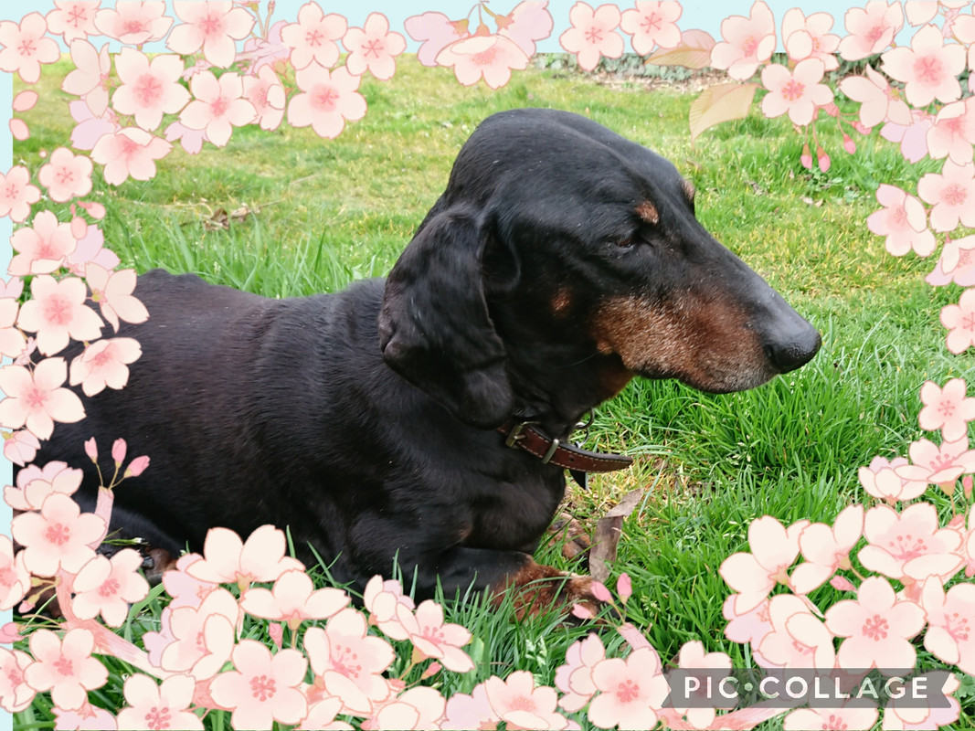 [Image: Collage-2023-03-29-21-11-04.jpg]