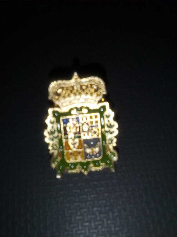 pin heraladico