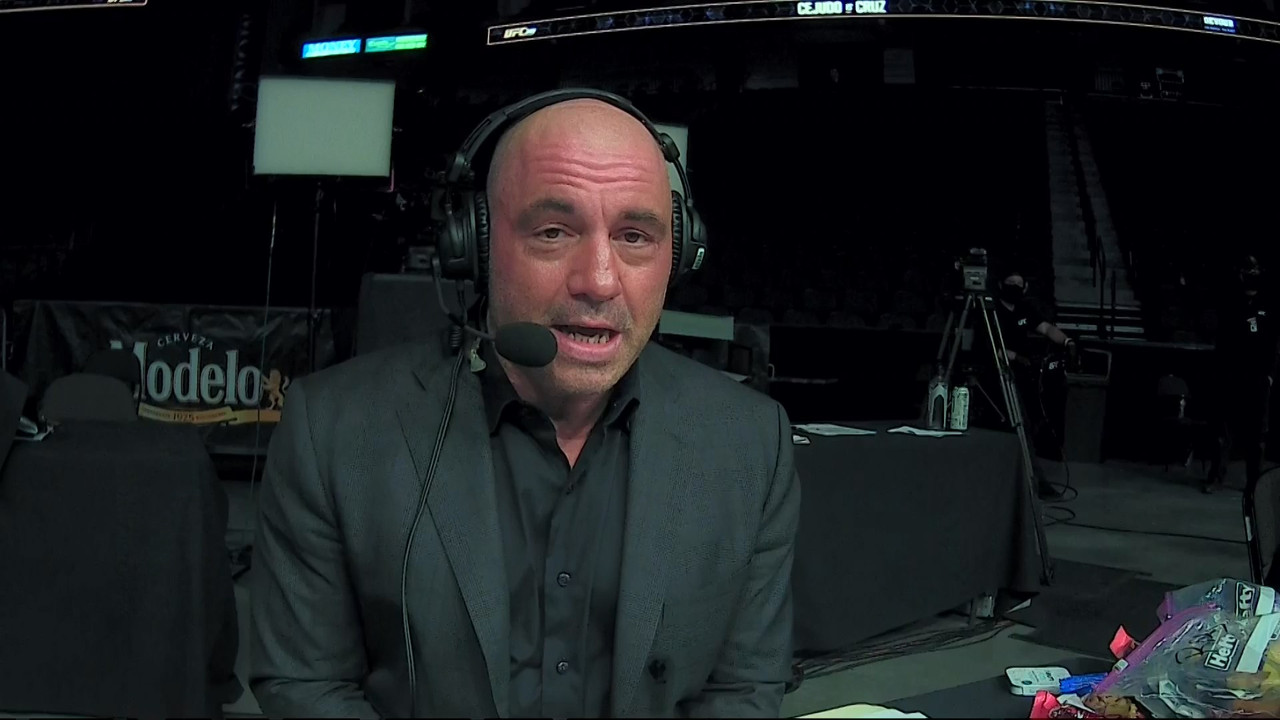 UFC 249 Full PPV 1080p HDTV x264-WH
