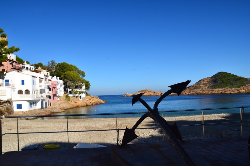 CALA SA TUNA Y SEA POOL-21-11-2017 - Gerona y sus pueblos-2016/2017 (9)