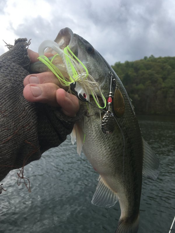 513D14AE-FCE1-4EAD-B1ED-93BFE278F178