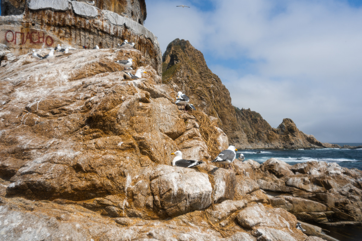 Сахалин весной