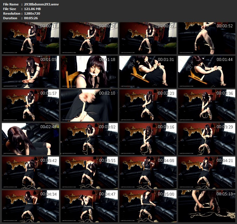 293Bbdsmm293.wmv