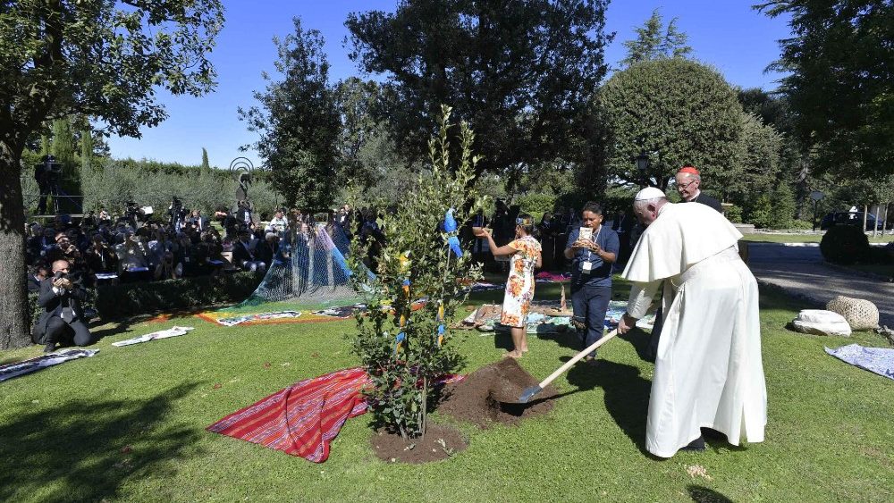 bergoglio-piant-un-leccio-d-assisi