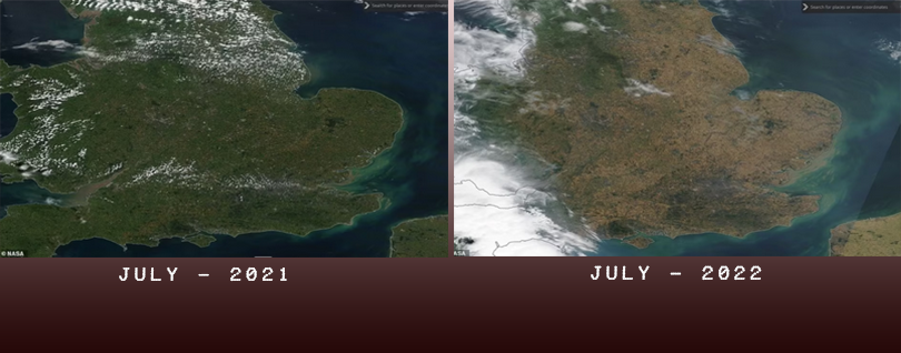 [Image: Anhquoc-july.png]