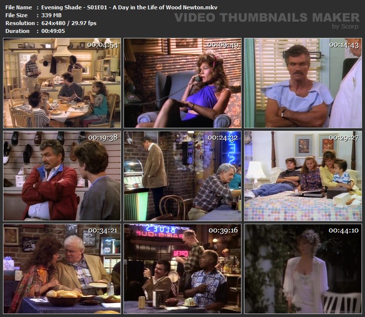 Evening Shade - S01E01 - A Day in the Life of Wood Newton.mkv