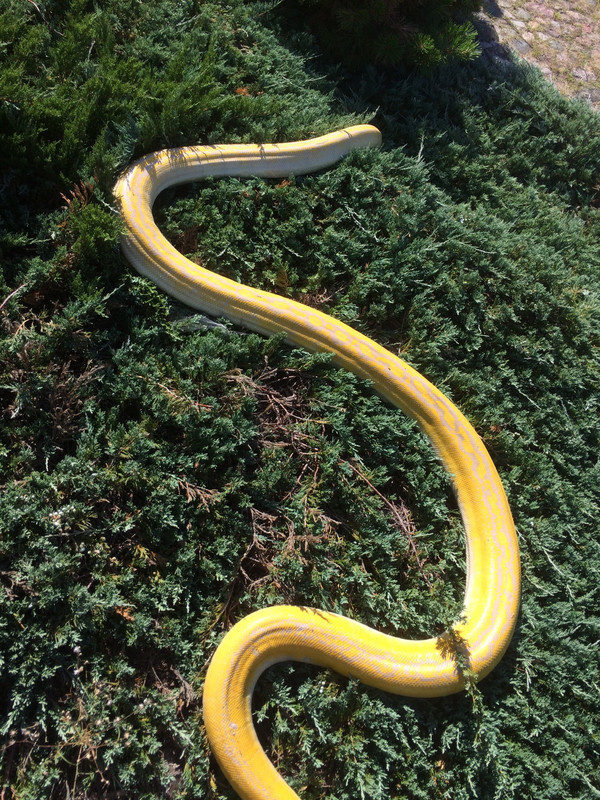 4D76166D-0AFD-4921-9929-7D7882EB3B6F