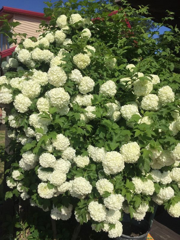 5A7DDACB-F6A2-4C51-B012-8E65DCF1936A