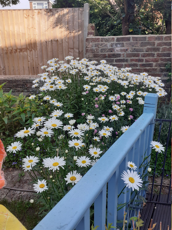 20260621 081546