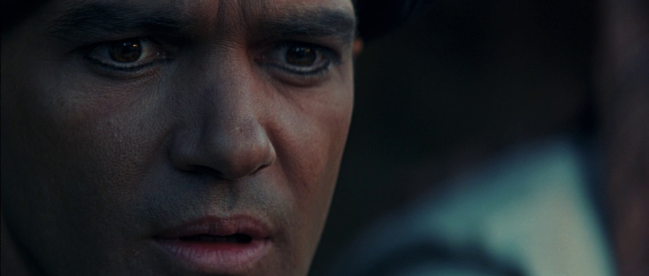 vlcsnap-2022-11-27-23h33m37s887