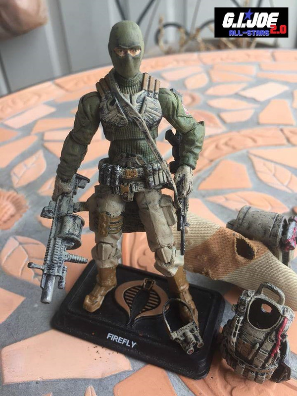 Day 39 - Firefly Cobra PMC by Jamey Ross Mcfarland (8)