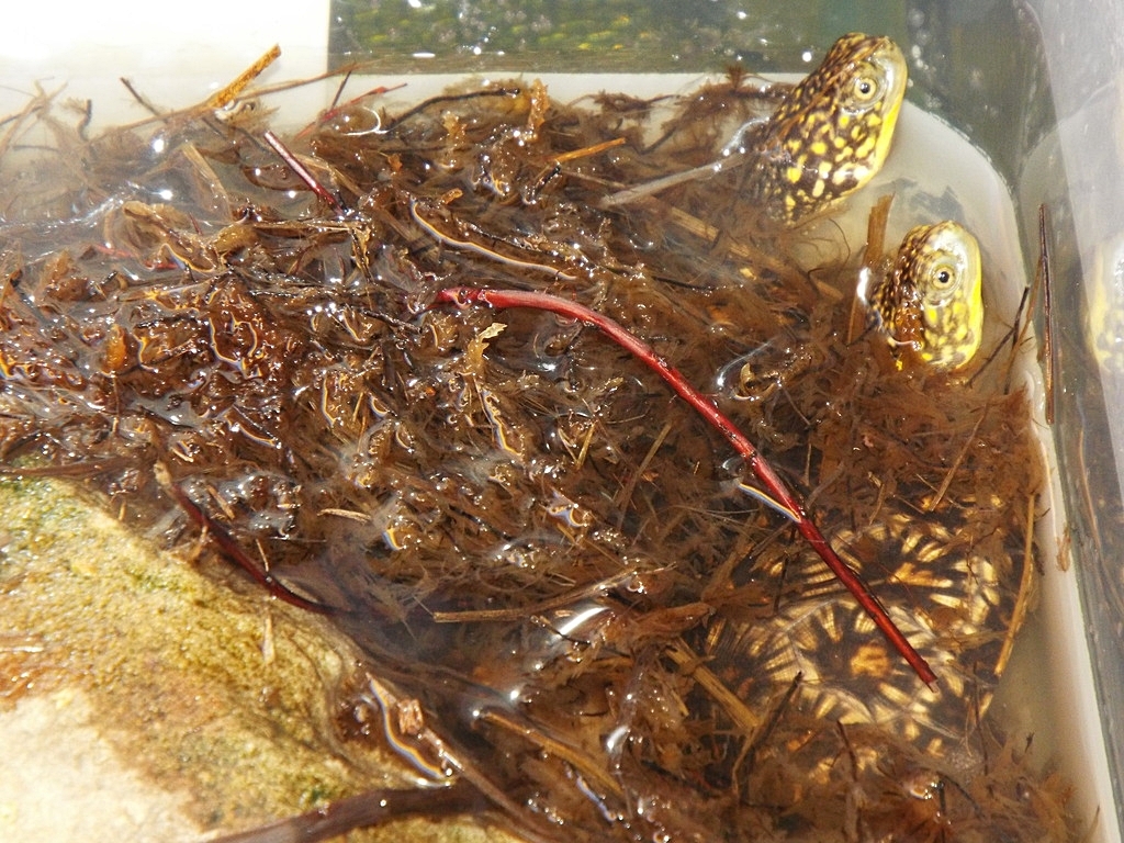 9809e84c-d721-443a-a742-bf450afcd03c