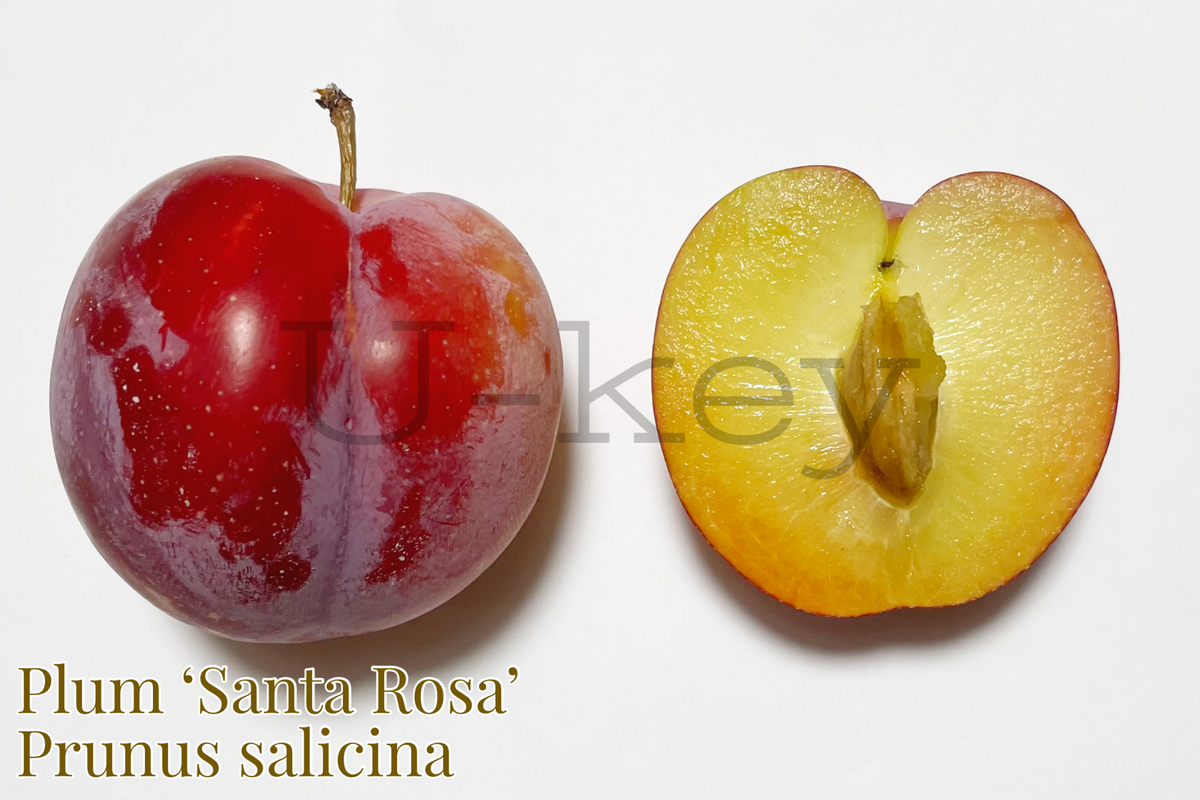 45CB7364-7AD7-451E-9AAB-0A9A32F1E678