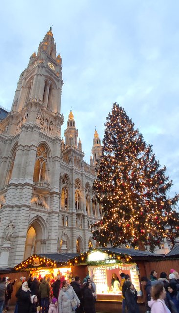 Adios Praga, hola Mercado del Ayuntamiento de Viena y concierto - Viena - Bratislava - Praga, Navidad 2024 (9)