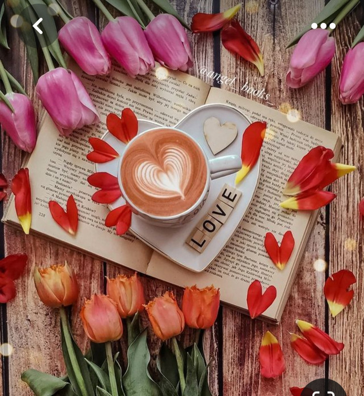 Screenshot_20230705_222542_Pinterest