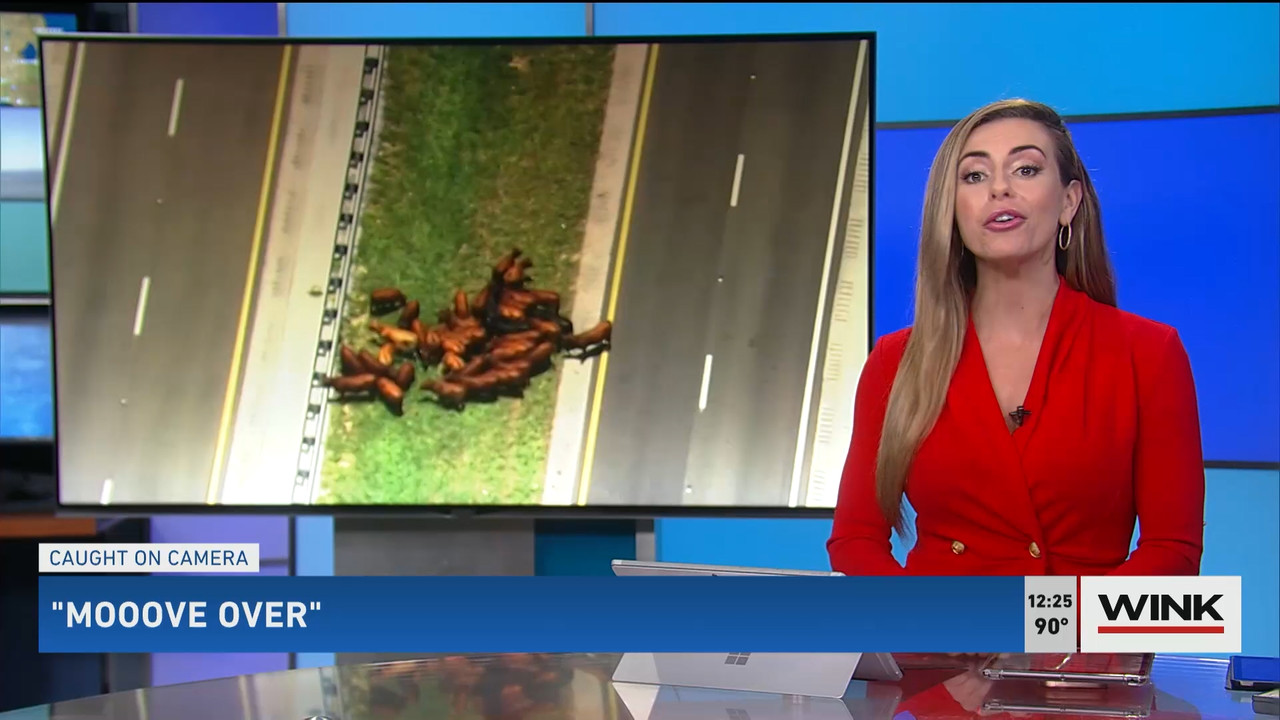 The WINK Noon News 2022_07_19_17_00_00.ts_snapshot_28.43.287
