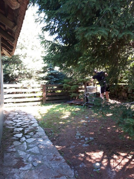 Slika