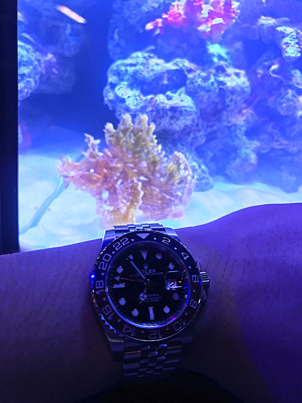 8464C7A3-D04C-4229-ACD5-98F87D4C50CE