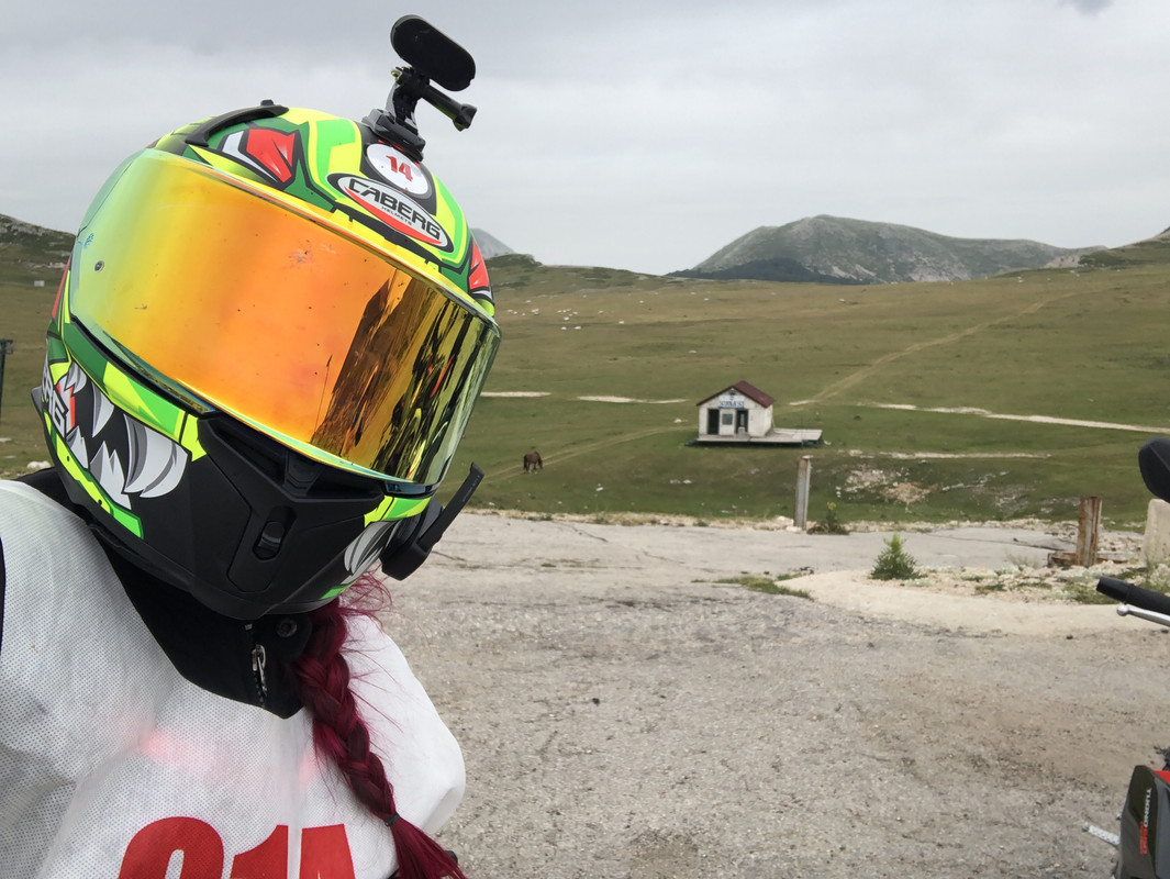 DAB7F421-DEF0-4C96-94D9-53C876B71EAB