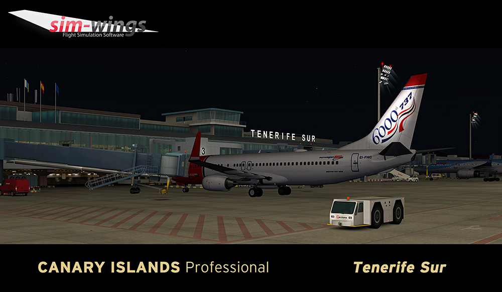 canary-islands-prof-tenerife (10)