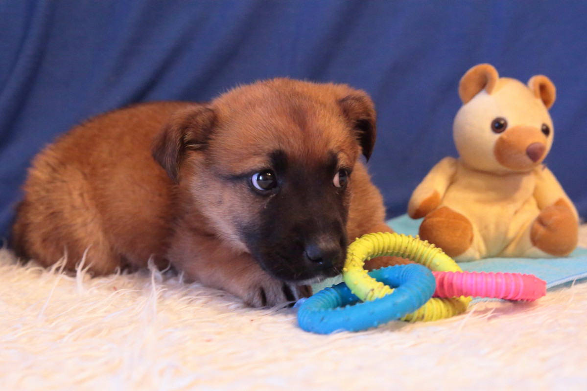 C51994E2-7344-4FA7-81CB-197421053867