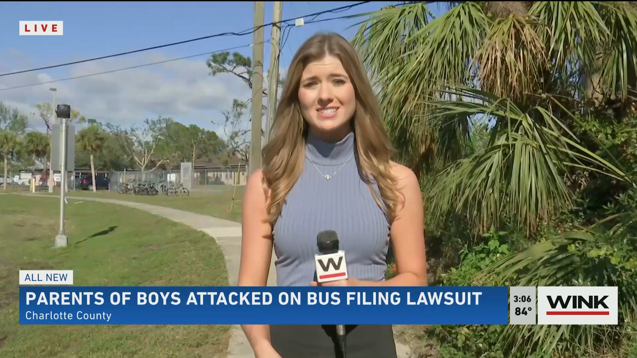 02.01 - 20.00.00 - WINK News at 3pm  ᴺᵉʷ..ts_snapshot_00.12.43.067