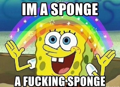 im-a-sponge-a-fucking-sponge.jpg