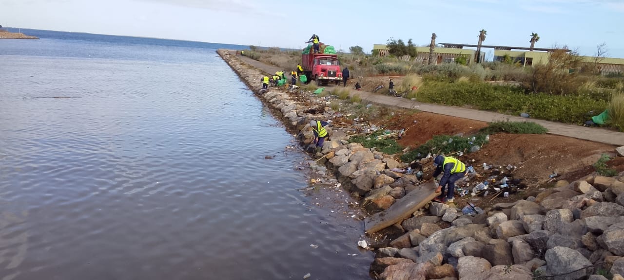 609913125-862779736390292-881771666688944417-n