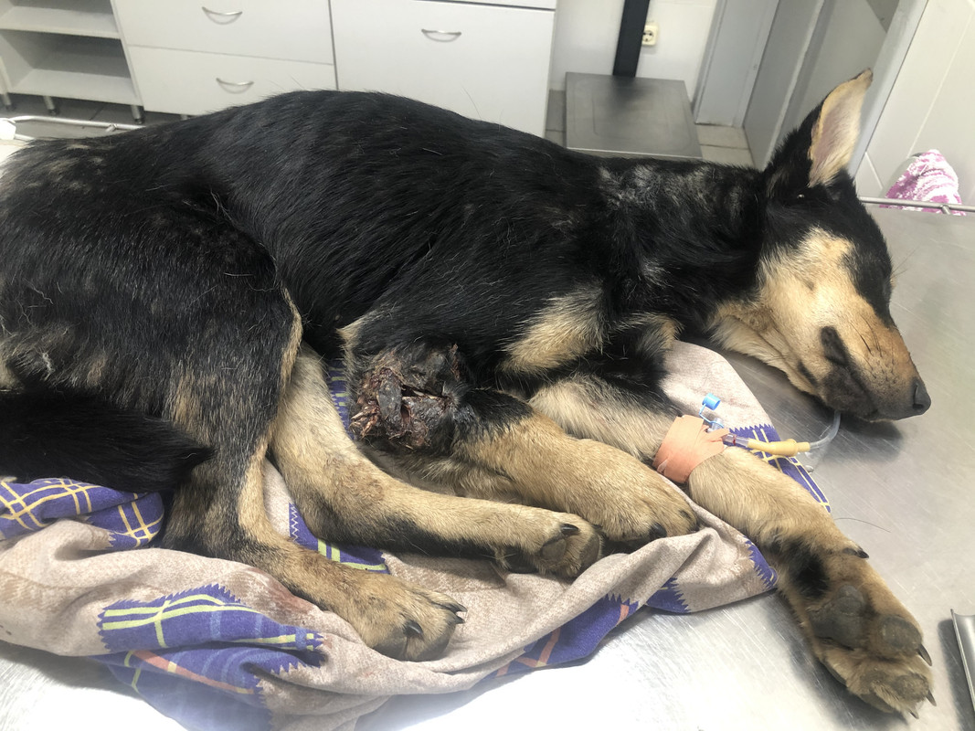 133CA7BF-A5CA-4198-97A4-6279F0A3D309