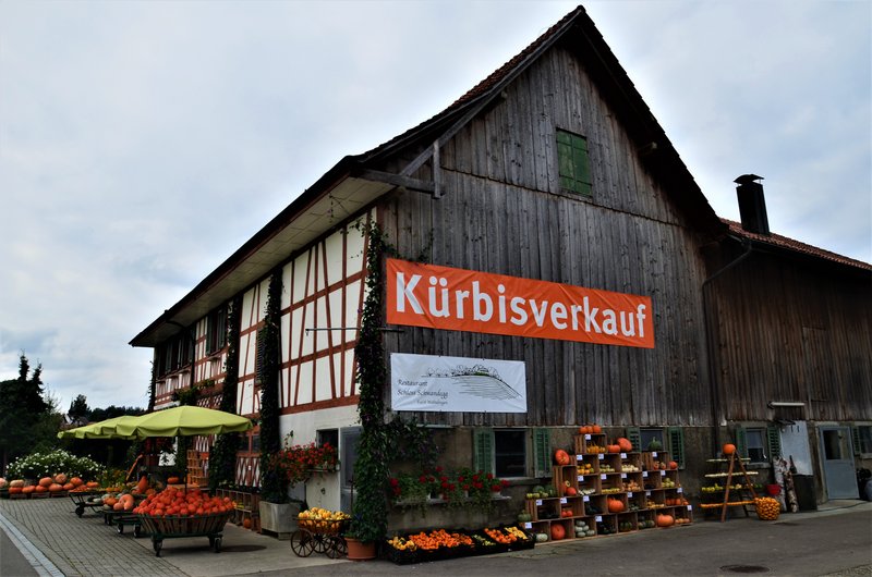 Suiza y sus pueblos-2019 - Blogs de Suiza - APPENZELL-6-9-2019 (12)