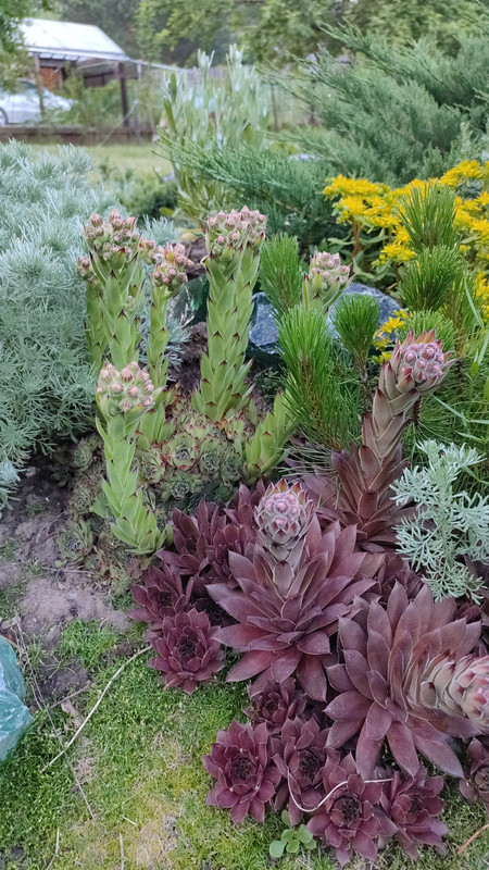 IMG_2023_07_01_20_47_59_2501961049339915903474